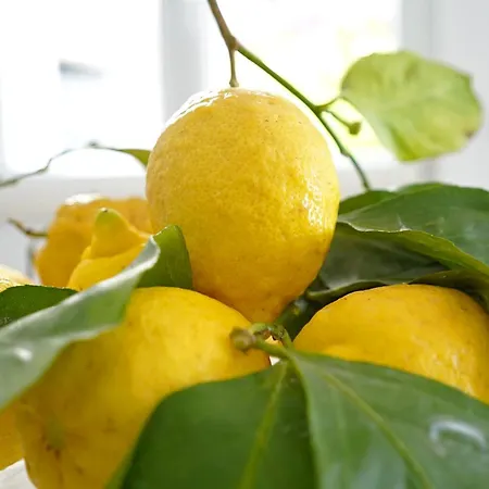 Апартаменты Seaside Dream View